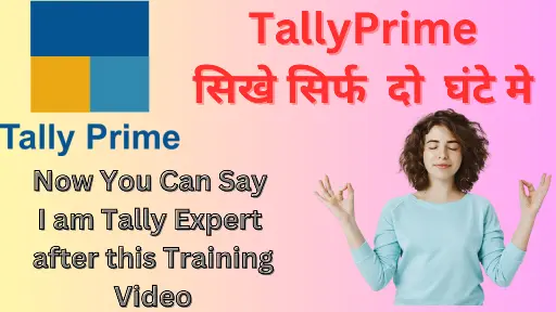 Tally No1 Partner